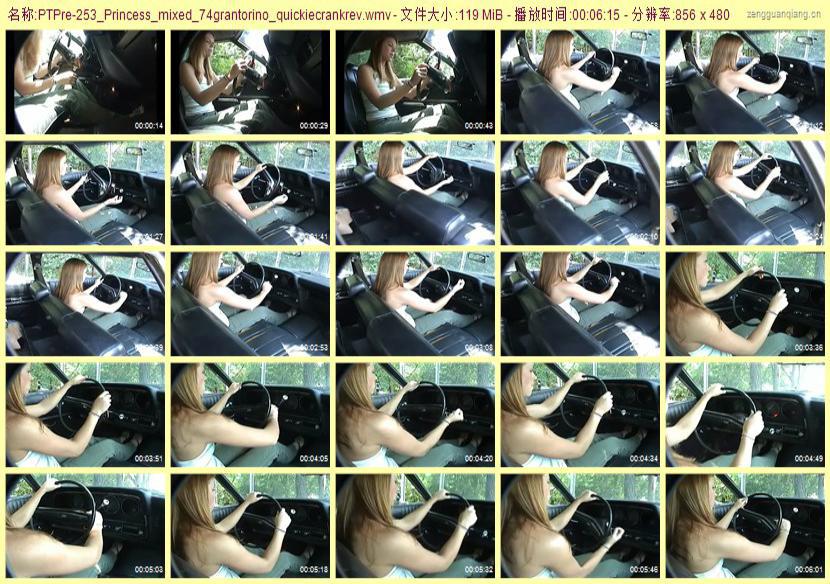 ptpre-253_Princess_mixed_74grantorino_quickiecrankrev
